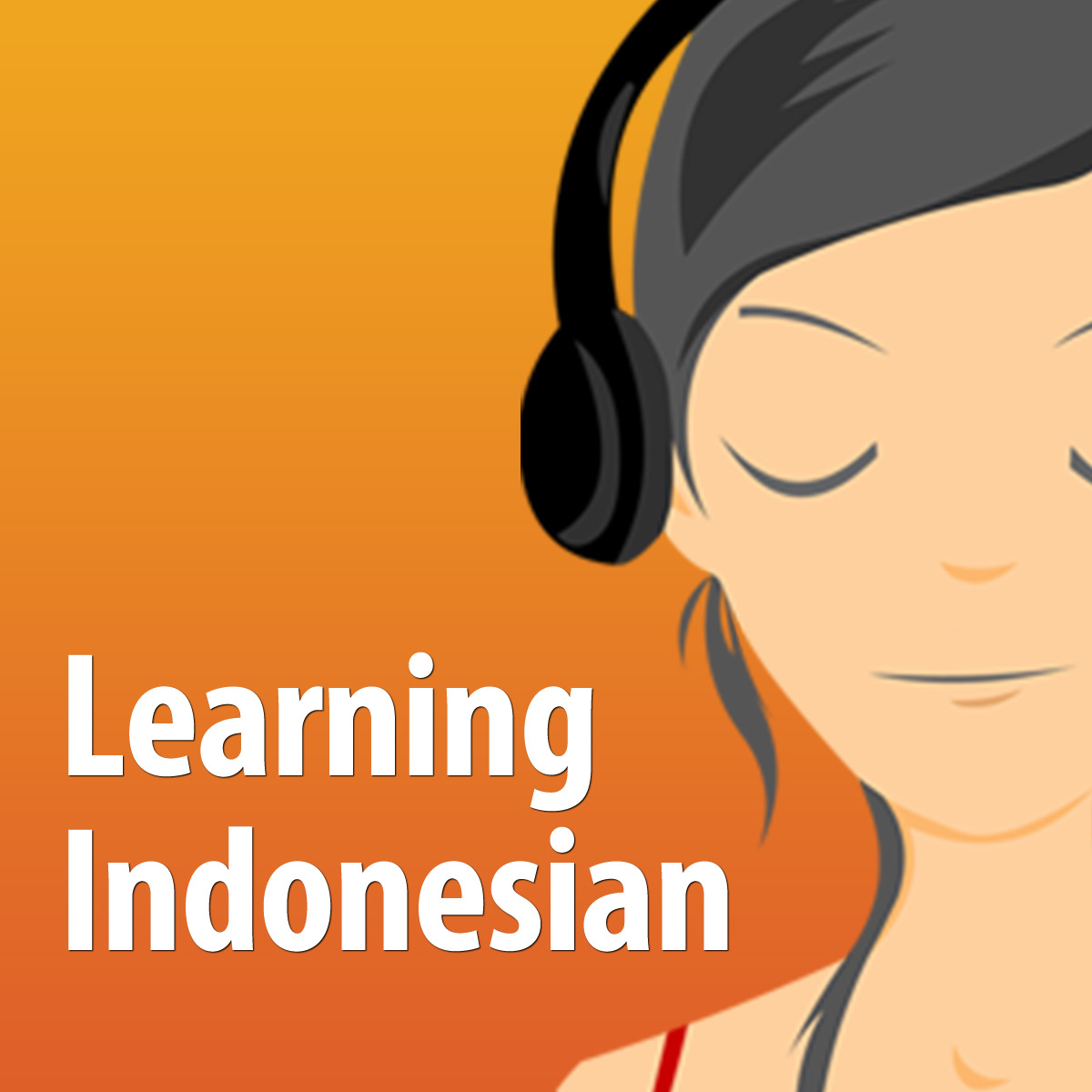 Learning Indonesian The fun and easy selfpaced course in Bahasa